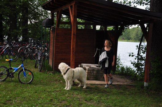 Zakončení sezóny 2012-2013 na loděnici