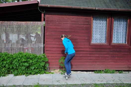 Zakončení sezóny 2012-2013 na loděnici