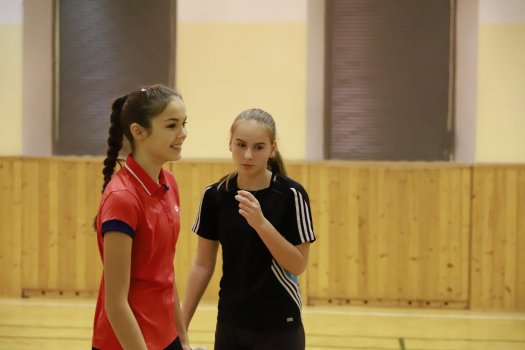 Laver cup opět po roce hostilo LA