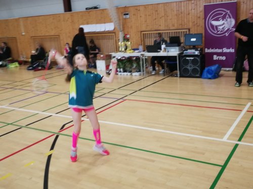 Storge Trophy Tour 2019 – 2x bedna