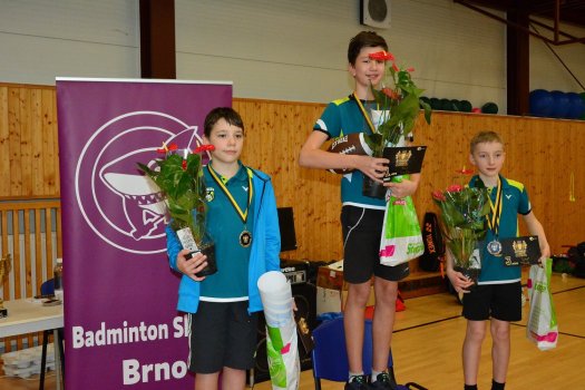Storge Trophy Tour 2019 – 2x bedna