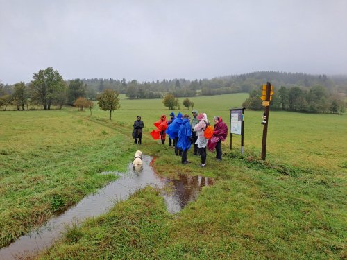 Kondiční soustředění 