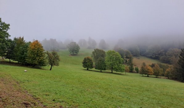 Kondiční soustředění 