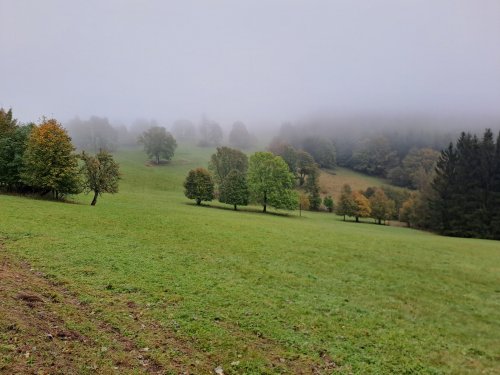 Kondiční soustředění 