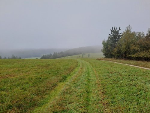 Kondiční soustředění 