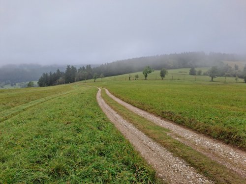 Kondiční soustředění 