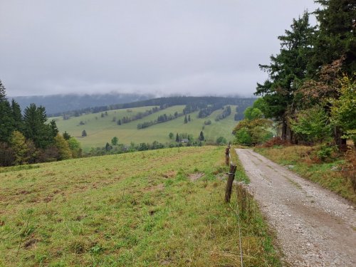 Kondiční soustředění 