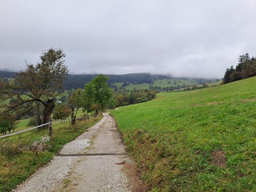 Kondiční soustředění 