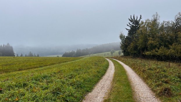 Kondiční soustředění 